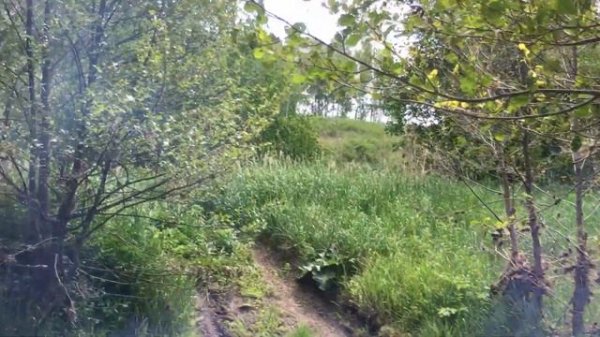 Хариус в Башкирии