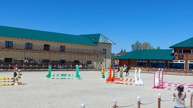 70 см. Федерация Конного Спорта #horse #конкур #животные смотреть онлайн