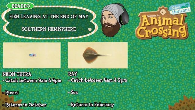 ACNH ALL FISH LEAVING IN MAY & ALL BUGS LEAVING IN MAY: Animal Crossing New Horizons May Fish & Bug смотреть онлайн