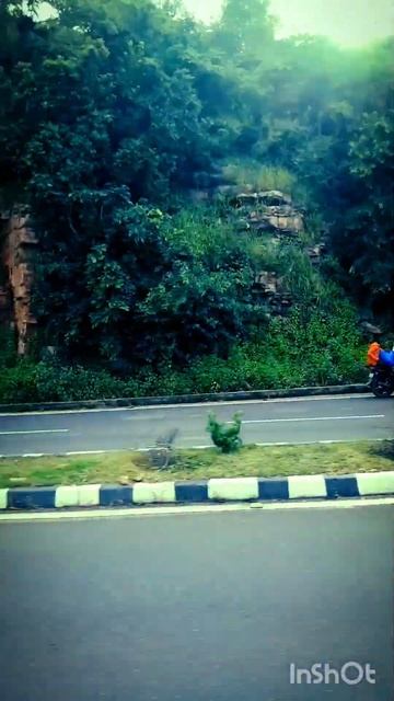 #shahabad ghati#shorts#video#baran #raj❤️❤️❤️ смотреть онлайн