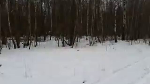 Укрытие 2 смотреть онлайн