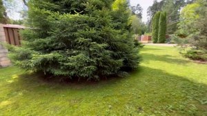 Загородный дом в Подмосковье купить