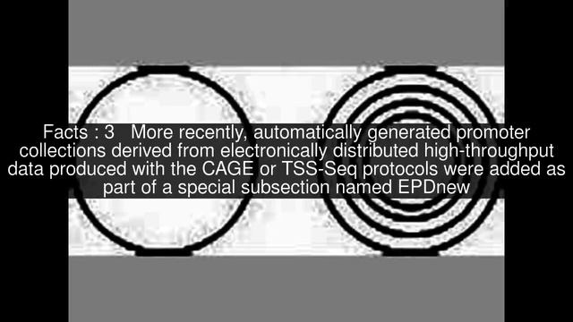 Eukaryotic Promoter Database Top #5 Facts смотреть онлайн