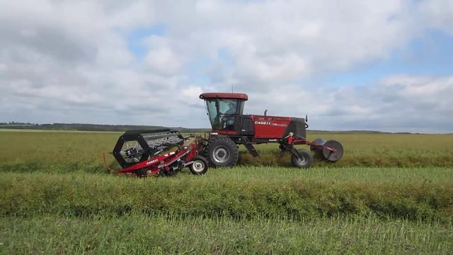Case IH WD1203 with Free Form Plastics Manual Winch Swath Roller смотреть онлайн