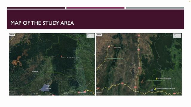 Nagarathna Balakrishna - Integrative Approaches to Conserving the Indri (Indri indri) in Madagascar смотреть онлайн