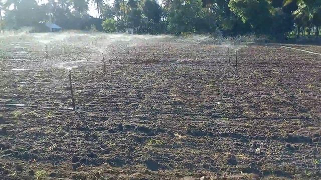 Micro sprinkler system (2) смотреть онлайн