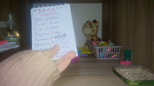 Как нужно ухаживать за сквиш собаками?(В крации)🐕 🐾 смотреть онлайн