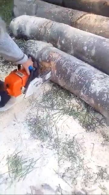Stihl 044 смотреть онлайн