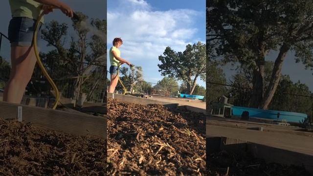 Lazy afternoon farm chores ASMR version смотреть онлайн