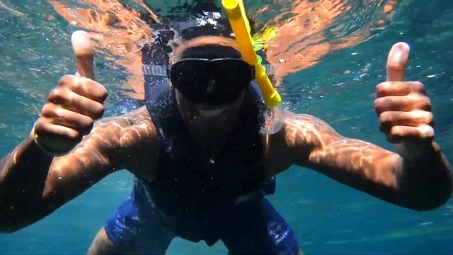 uShaka Sea Animal Encounters Island смотреть онлайн