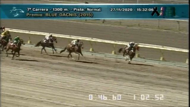 Carr.7 Premio: BLUE DACNIS (2015) 27-11-2020 смотреть онлайн