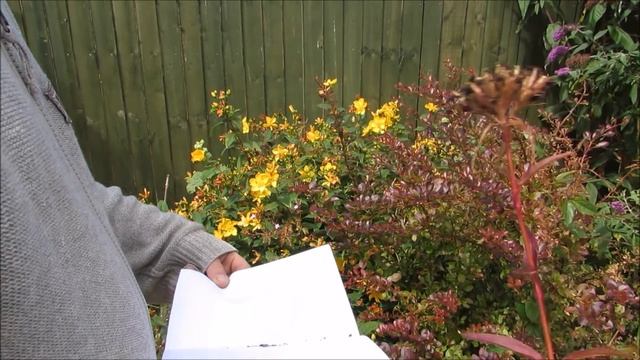 Nora & Brian's Allotment. Episode 66. смотреть онлайн