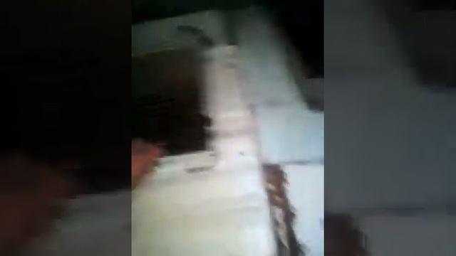 Взвешивание крольчат которым 2 месяца.ПОДПИСЩИКИ! смотреть онлайн