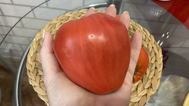 Мои Минусинские помидоры, выращенные в открытом грунте без удобрений. смотреть онлайн