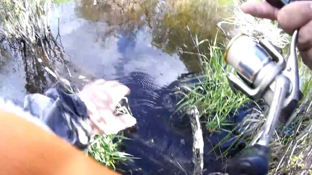 Рыбалка в дали от цивилизации 2. Щучий рай. смотреть онлайн