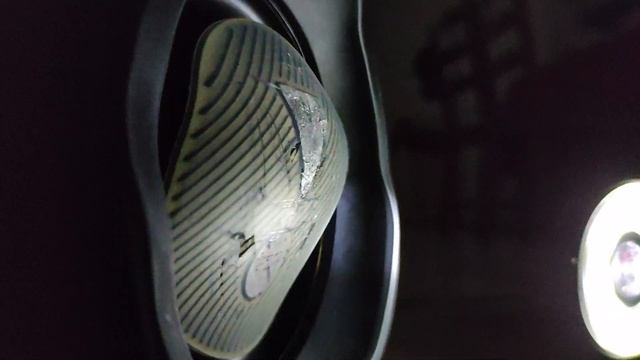 JBL Xtreme 2 Bass Test With Animals by Martín Garrix смотреть онлайн