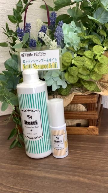 犬 ペットシャンプー かゆみ 無添加 смотреть онлайн