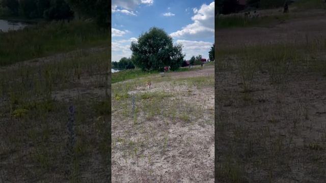 Бумеранг смотреть онлайн