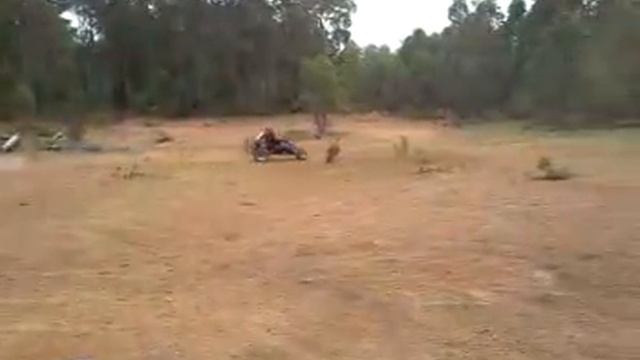 Angry Taipan 1 смотреть онлайн