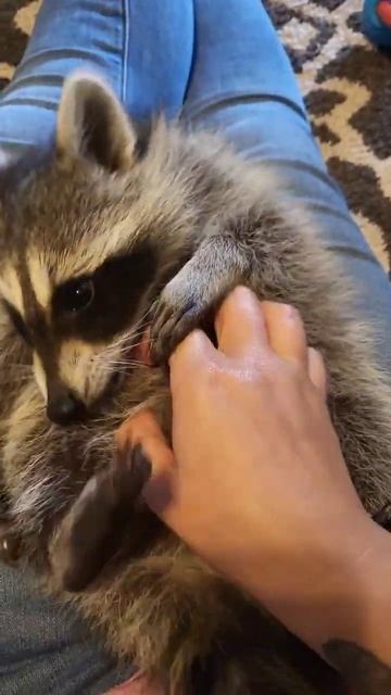 Getting Some Love After Her Nail Trim смотреть онлайн