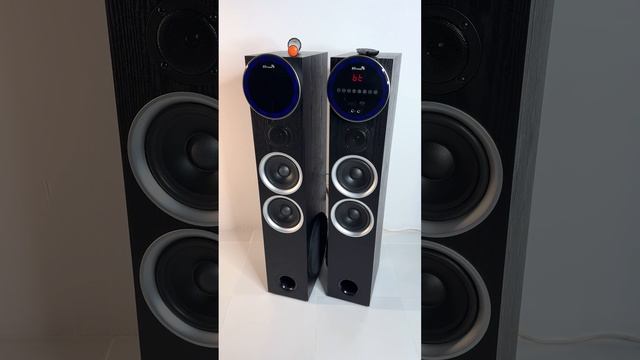 Акустическая система Eltronic 30-35 (2200 Ватт) смотреть онлайн