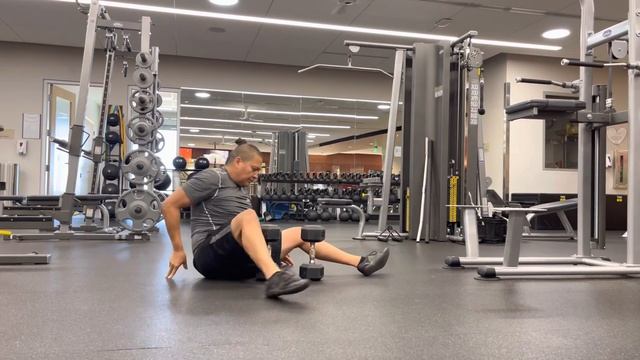 DB Z press смотреть онлайн