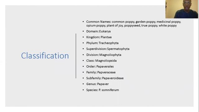 Species presentation смотреть онлайн