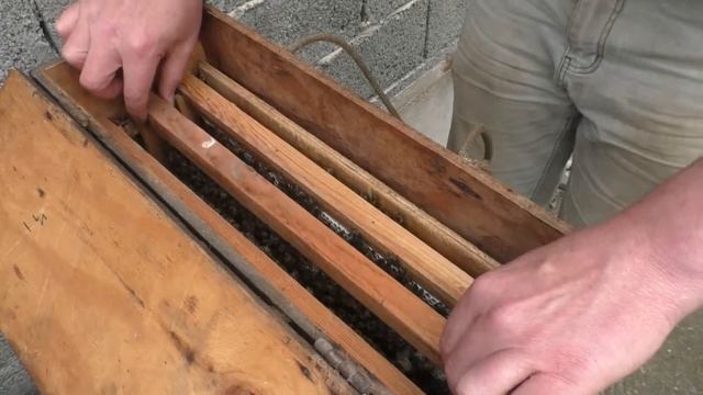 #4 “Сериал “Из этого роя“ ⁄⁄ Часть пятая День девятый смотреть онлайн