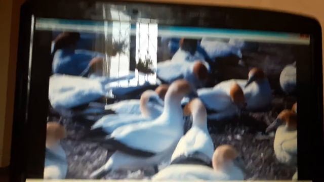 Приключения из жизни смотреть онлайн