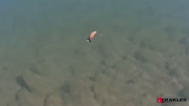 MOTH 28 - SWIMMING смотреть онлайн