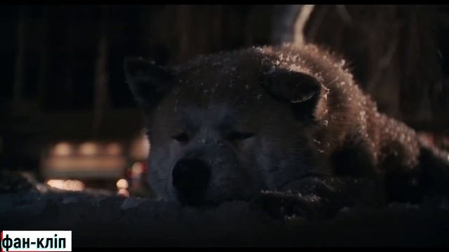 Я хочу найти, ту самую собаку-Канги (фан-клип) смотреть онлайн