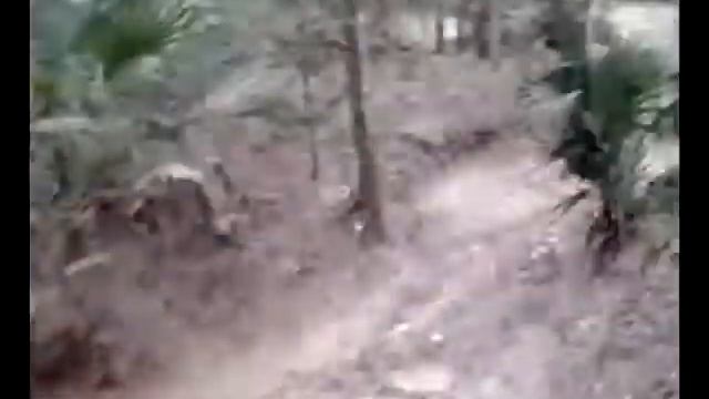 Alpha Pit in Ocala смотреть онлайн