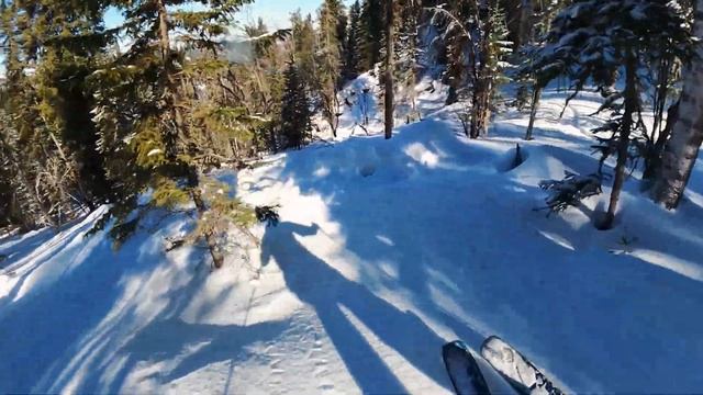 Есть ли фрирайд на Телецком? Спуск по лесу на горных лыжах в поисках проездов. смотреть онлайн