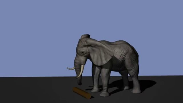 Elephant