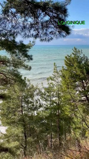 Зимнее море в Сочи