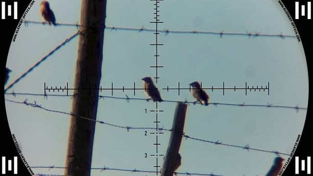 Long Range in the Wind | FX Wildcat MkIII | H&N Baracuda | Airgun Pest Control смотреть онлайн