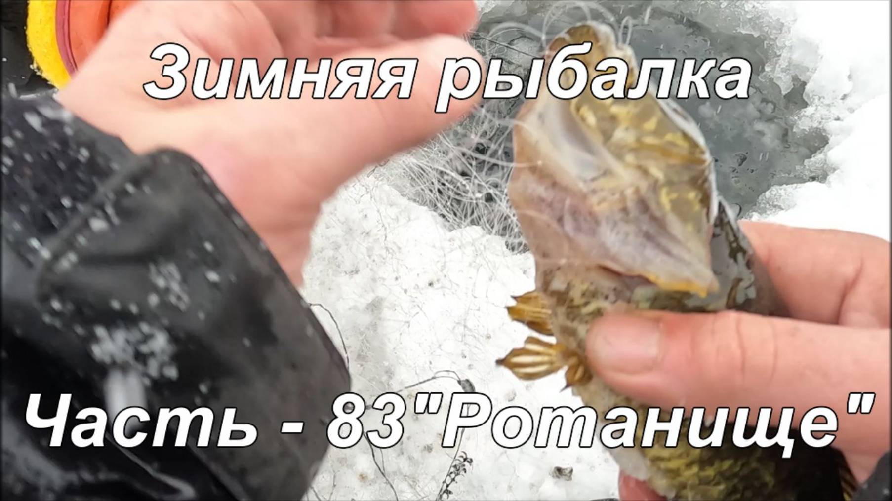 Зимняя рыбалка. Часть - 83. "Ротанище". смотреть онлайн