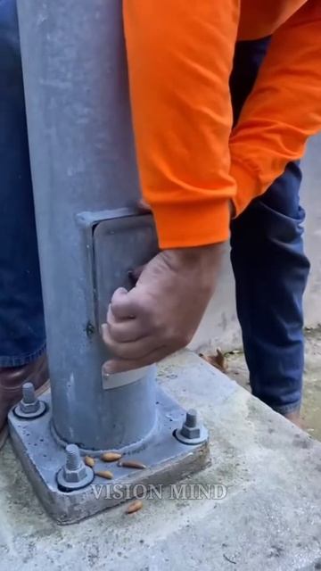 गिलहरी अपना खाना यहां जमा करती हैं😱😮 #squirrel #youtubeshorts #shorts смотреть онлайн