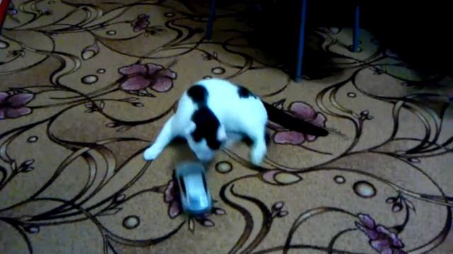 Бибип машинка за давлю!!! смотреть онлайн