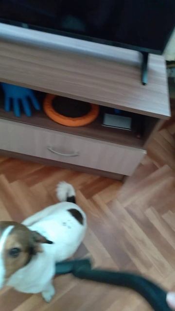 27 февраля 2024 г. смотреть онлайн