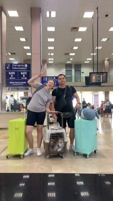 Я, муж, пёс, два чемодана и акула из Икеи отправились в нон-стоп путешествие по миру 🙌 смотреть онлайн