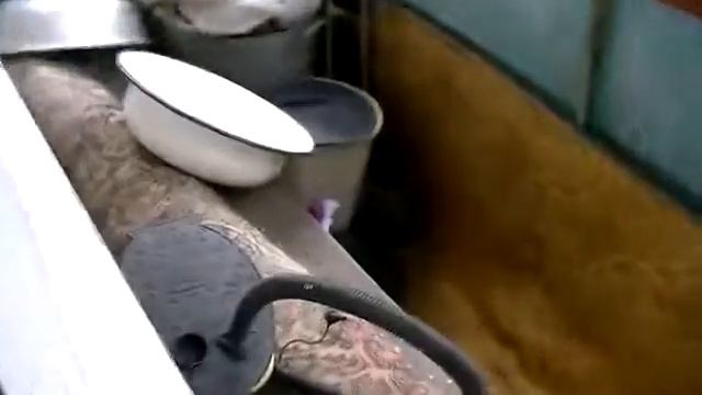Как найти голубя за 3 секунды смотреть онлайн
