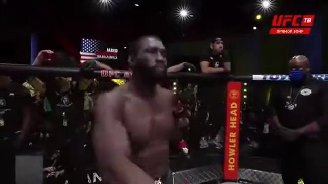 бой без правила смотреть онлайн