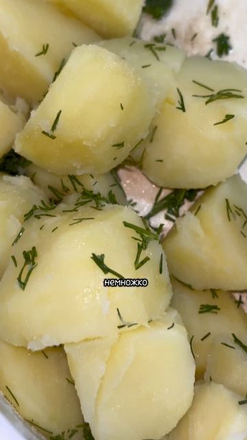 Че наготовила