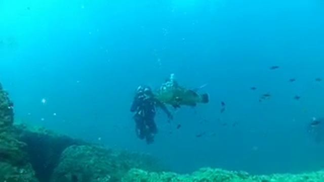 22 07 12 AMP di Portofino Il Faro смотреть онлайн