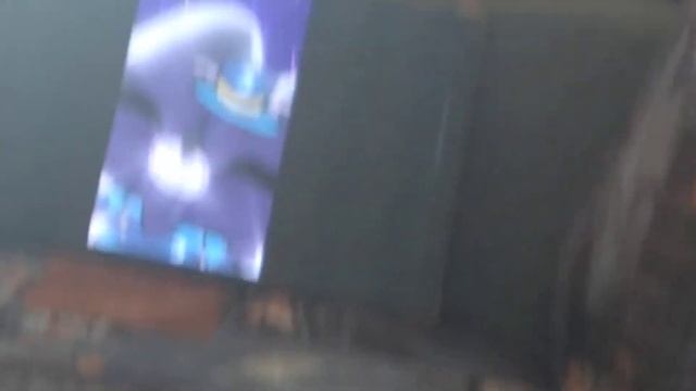Сборник видео с тигром и мурздей(3) смотреть онлайн