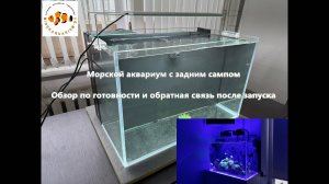 Морской аквариум с задним сампом и внутренней емкостью долива