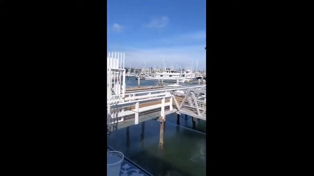 Восхитительная Александра Шульгина 2019-05-07 смотреть онлайн