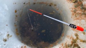 ОПУСТИЛ КЛОПА в ЛУНКУ...СТАЯ БАХНУЛА КИВОК! Попал на мешок рыбы. Рыбалка