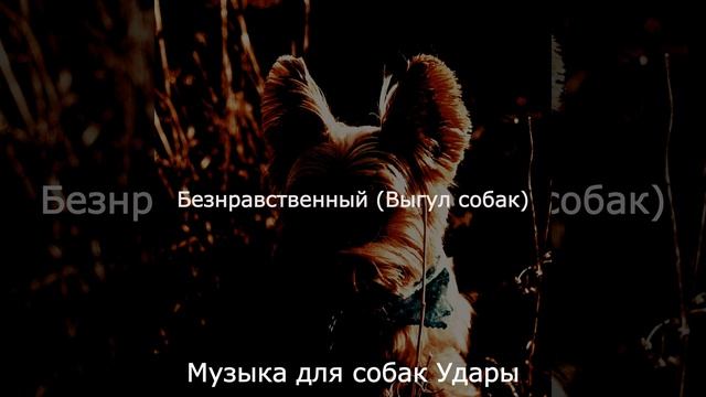 Атмосфера (Милые Собаки) смотреть онлайн